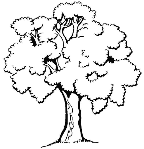Dibujos del día del árbol | Manualidades InfantilesManualidades ...