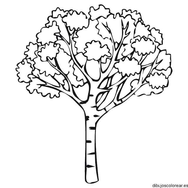 Dibujos del día del árbol - Manualidades Infantiles