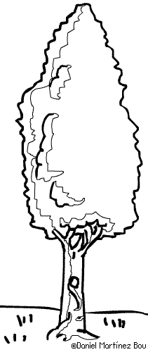 Dibujos de árboles