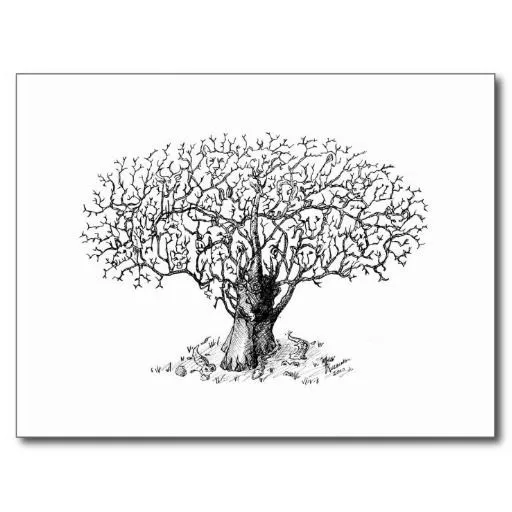 dibujos de arboles bonsai a lapiz - Buscar con Google | ARBOLES ...
