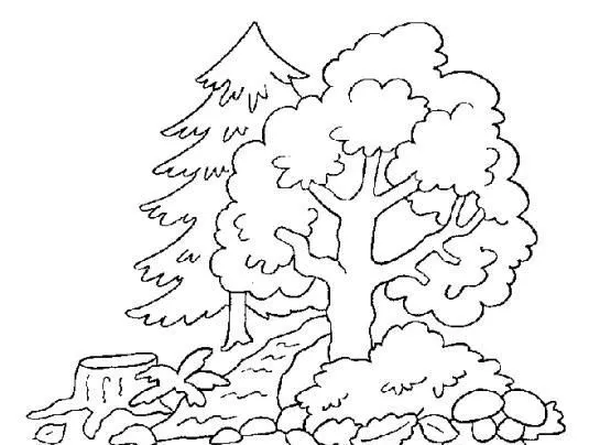 Dibujos de árboles para descargar, imprimir y colorear | Colorear ... Dibujos de árboles para descargar, imprimir y colorear | Colorear ...