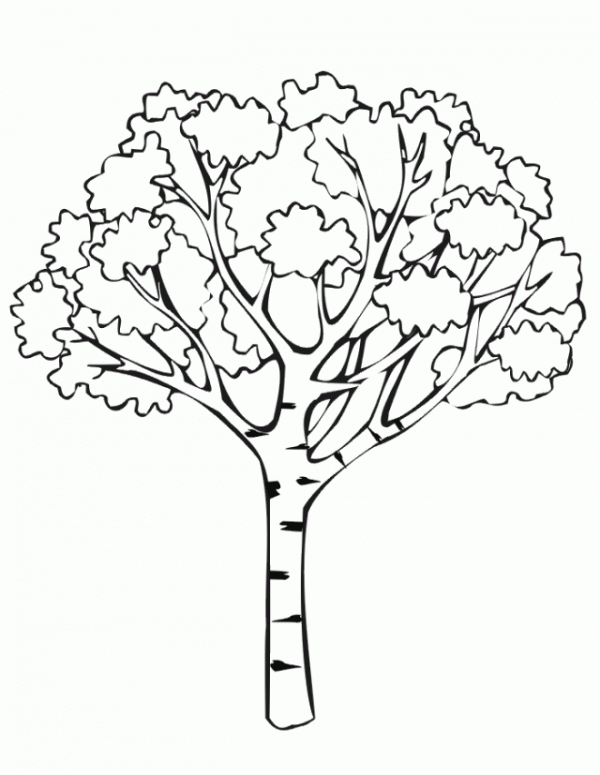 Dibujos de árboles para descargar, imprimir y colorear | Colorear imágenes Dibujos de árboles para descargar, imprimir y colorear | Colorear imágenes
