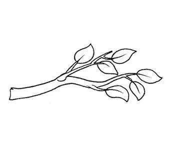 DIBUJOS DE ARBOLES Y FLORES PARA COLOREAR