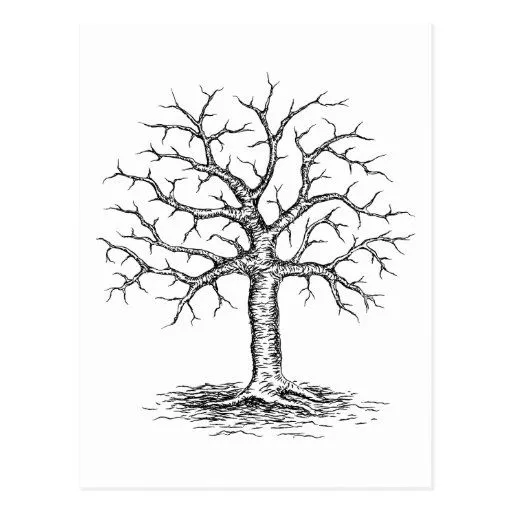 Dibujos de arboles en invierno - Imagui