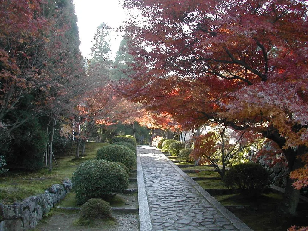 ... region kansai el frio a entrado practicamente de golpe en los ultimos ... region kansai el frio a entrado practicamente de golpe en los ultimos