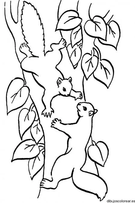 Arbol con ardilla para colorear - Imagui