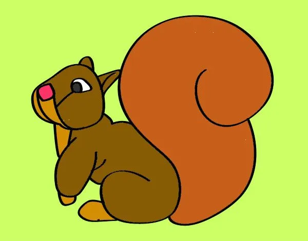 Dibujos de Ardillas para Colorear - Dibujos.net Dibujos de Ardillas para Colorear - Dibujos.net