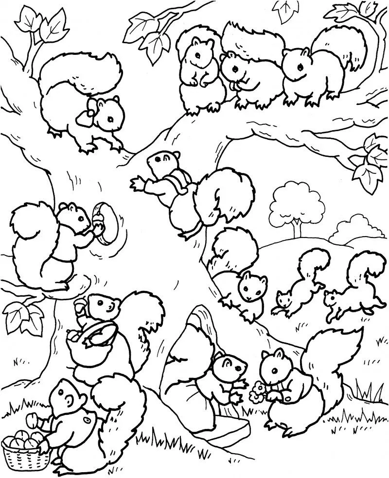 Dibujos de ARDILLAS (Para Colorear y Pintar) Dibujos de ARDILLAS (Para Colorear y Pintar)