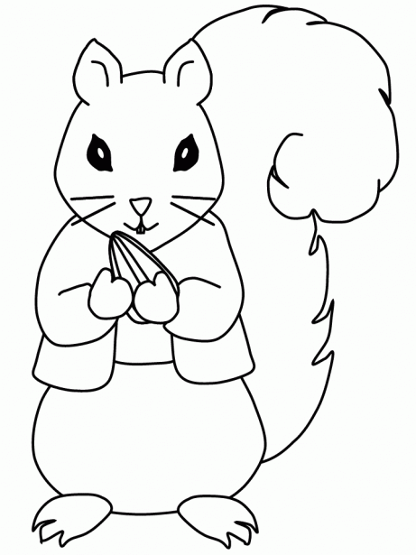 Dibujos de Ardillas ~ Vida Blogger
