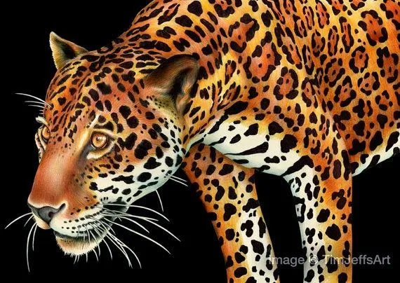 Dibujos artísticos muy impresionantes | .