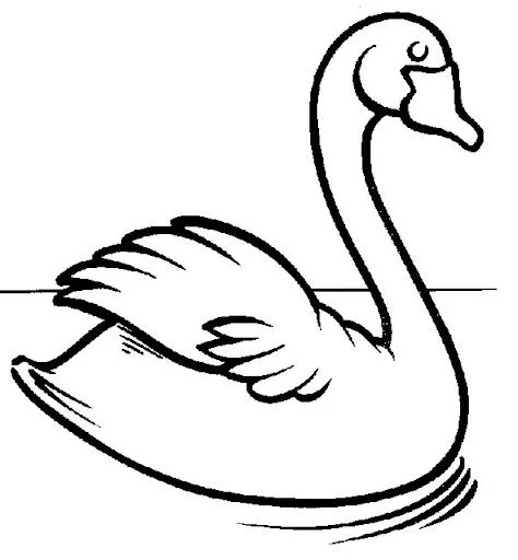 Aves (18).jpg?imgmax=640