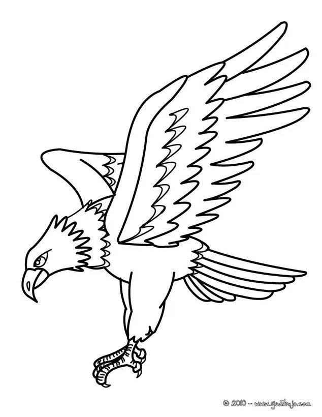 Dibujos AVES para colorear - AGUILA IMPERIAL ORIENTLA | Aguila real dibujo, Aguila para dibujar, Aguila dibujo Dibujos AVES para colorear - AGUILA IMPERIAL ORIENTLA | Aguila real dibujo, Aguila para dibujar, Aguila dibujo