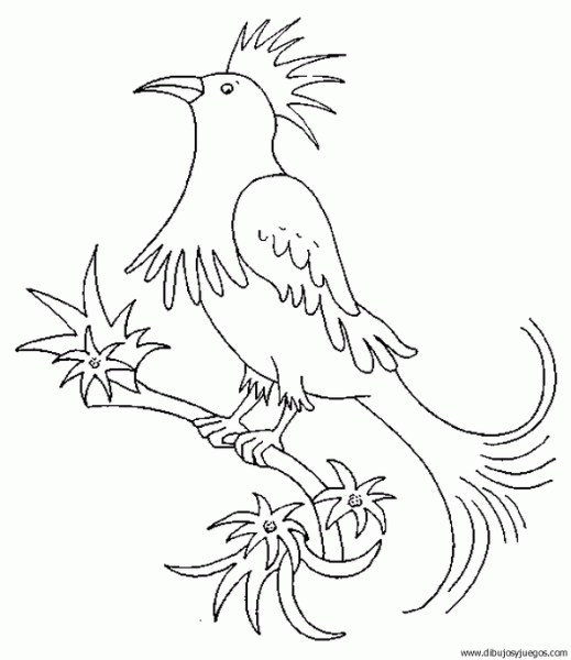 Dibujos de aves exóticas para colorear - Imagui Dibujos de aves exóticas para colorear - Imagui