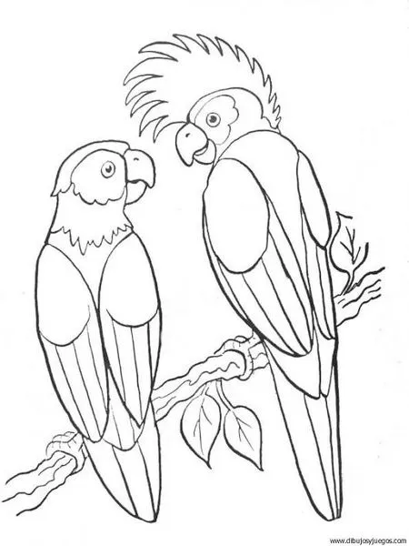 Dibujos de aves exóticas para colorear - Imagui Dibujos de aves exóticas para colorear - Imagui