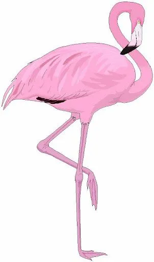 DIBUJOS DE AVES PARA IMPRIMIR DIBUJOS DE AVES PARA IMPRIMIR