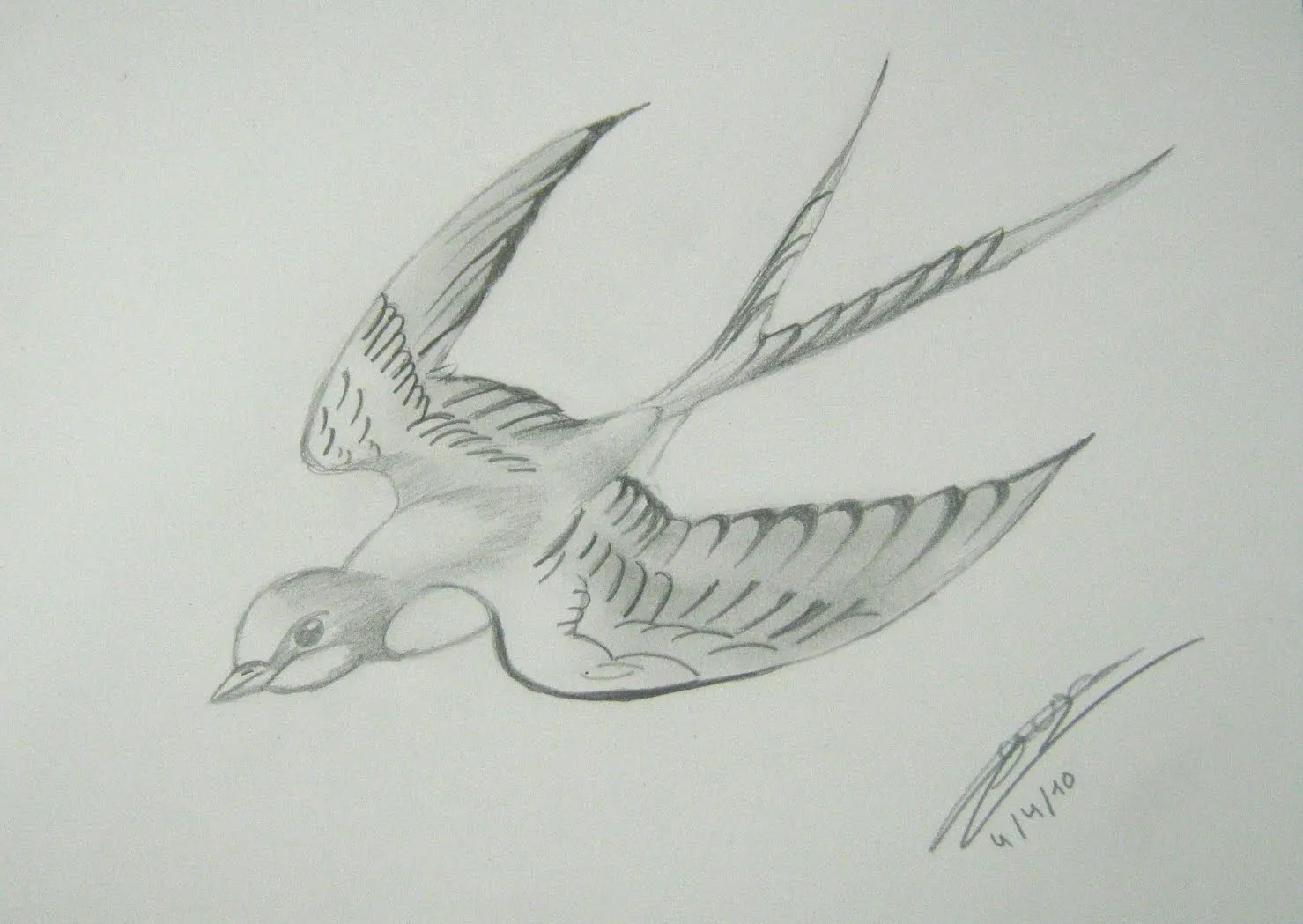 Pintasomnis MENUDOS Clases de Dibujo: DIBUJANDO AVES Pintasomnis MENUDOS Clases de Dibujo: DIBUJANDO AVES