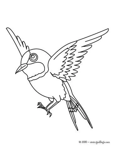 Dibujos de AVES y pájaros - 67 dibujos de animales para colorear y ... Dibujos de AVES y pájaros - 67 dibujos de animales para colorear y ...