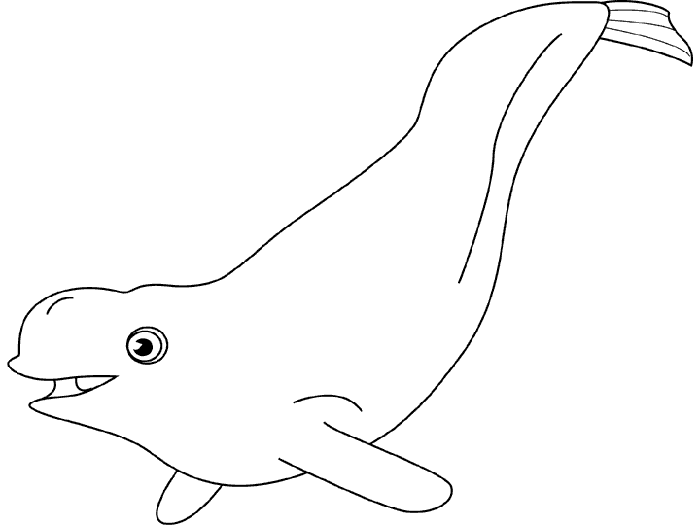 Dibujos de ballenas. Dibujos de ballenas para colorear