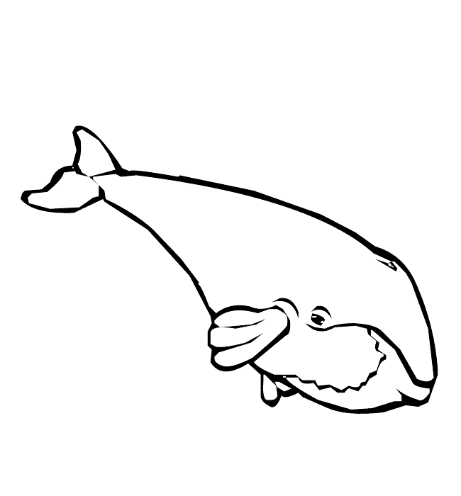 Dibujos de BALLENAS (Para Colorear y Pintar)