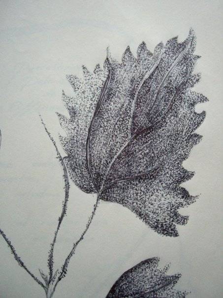 Dibujos a base de puntos en imagenes - Imagui Dibujos a base de puntos en imagenes - Imagui