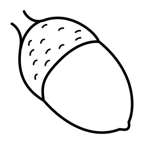 DIBUJOS DE BELLOTAS PARA COLOREAR | FICHAS PARA PINTAR | DIBUJOS ...