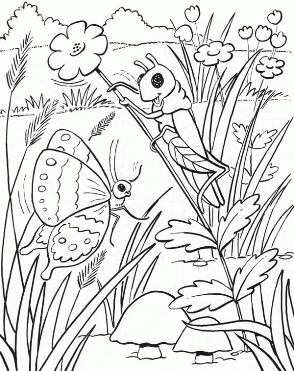 Dibujos de insectos para colorear e imprimir - Imagui Dibujos de insectos para colorear e imprimir - Imagui