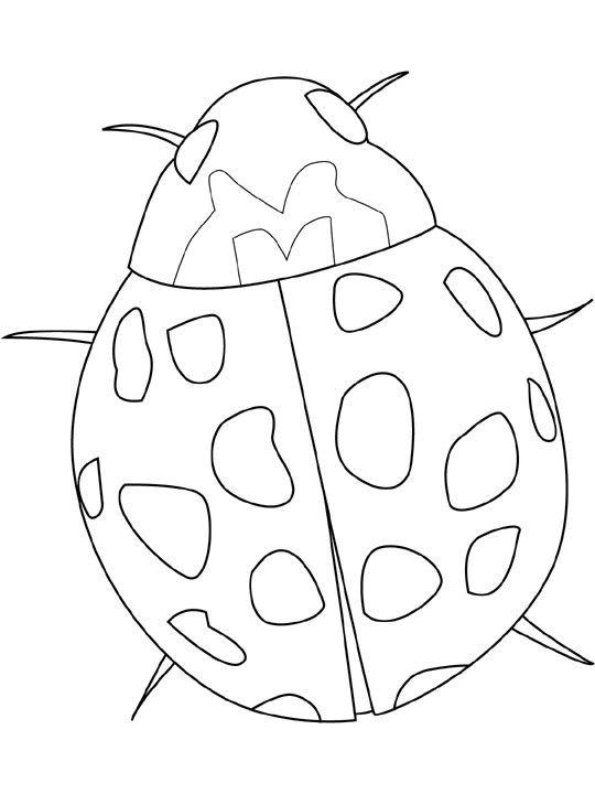 Dibujos para colorear de Mariquitas, chinitas, catarinas ... Dibujos para colorear de Mariquitas, chinitas, catarinas ...