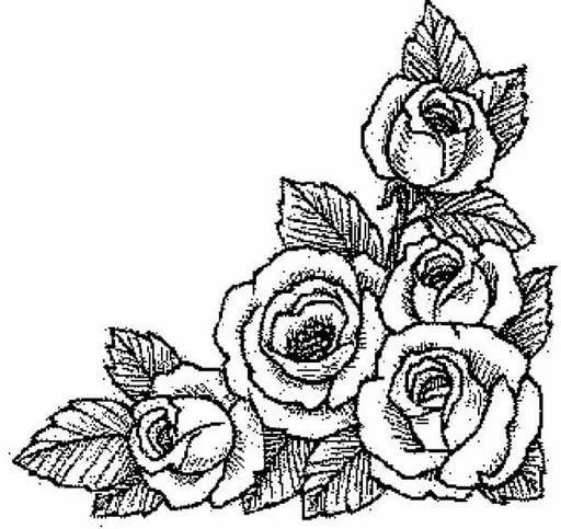 Dibujos de Rosas para Bordar, Dibujos para Pintar Dibujos de Rosas para Bordar, Dibujos para Pintar