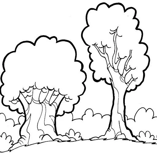 Dibujos de bosques para colorear e imprimir - Imagui