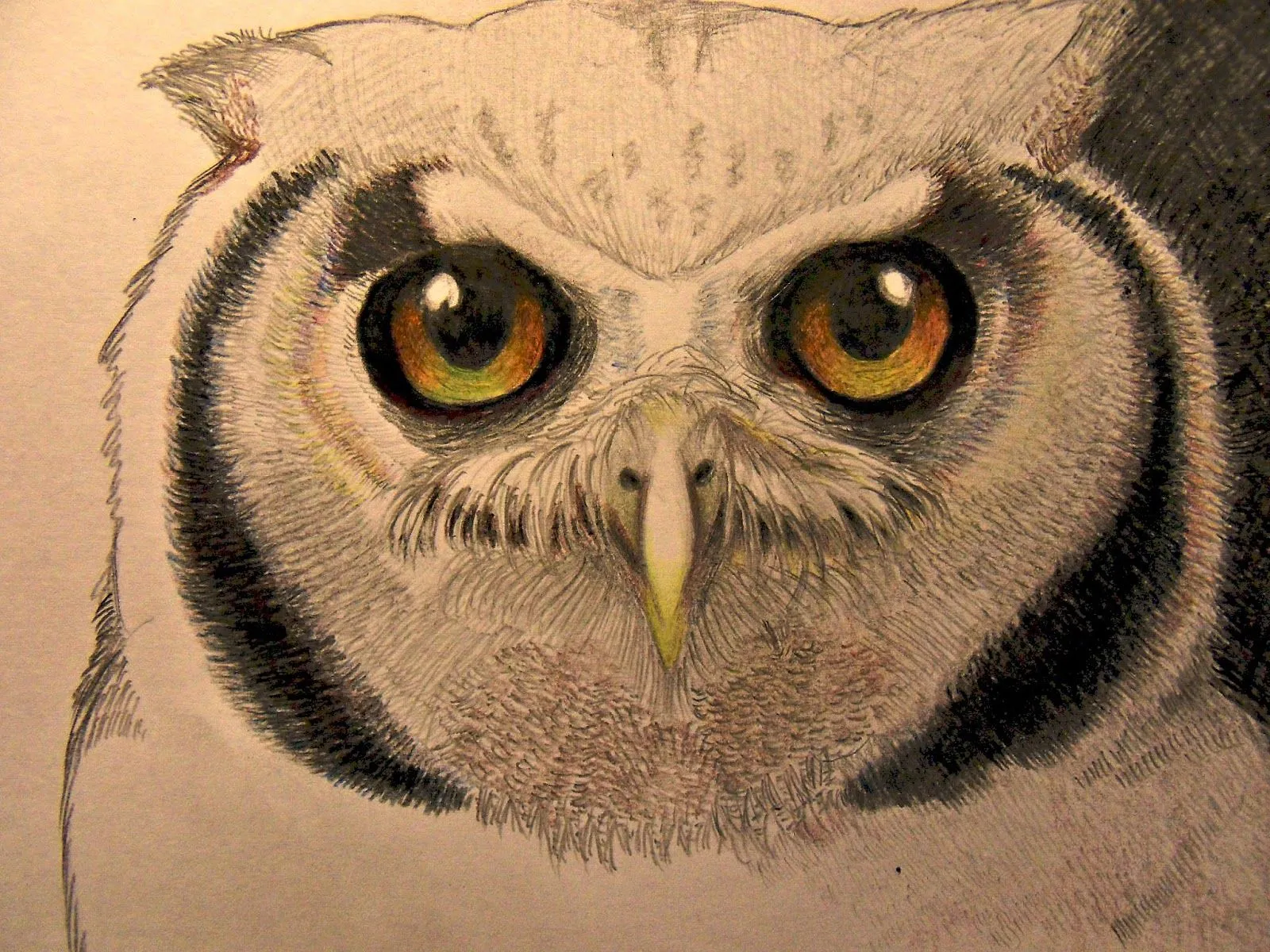 Dibujos de buhos a lapiz - Imagui