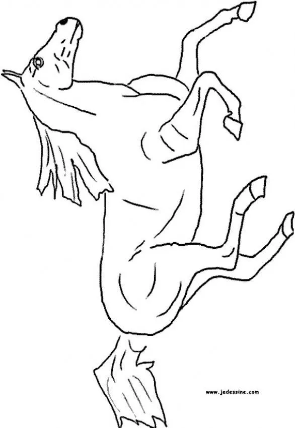 Dibujos de CABALLOS para colorear e imprimir, Un caballo a galope ... Dibujos de CABALLOS para colorear e imprimir, Un caballo a galope ...