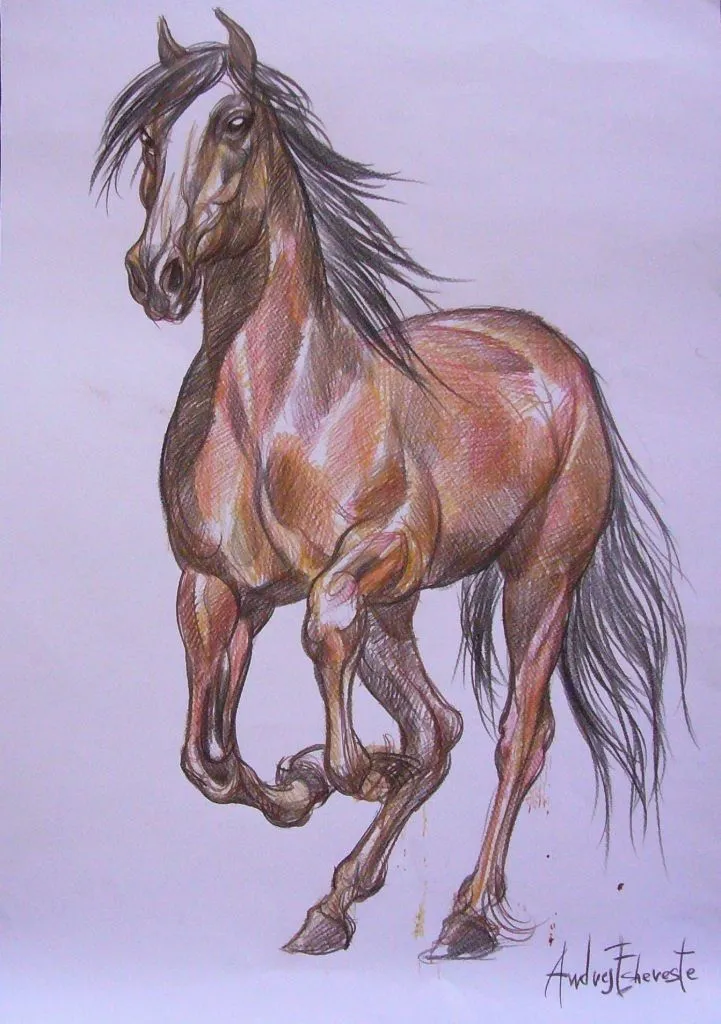 Dibujos de caballos corriendo - Imagui
