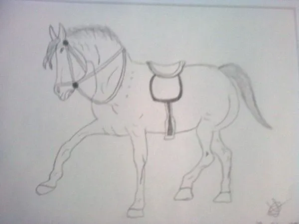 caballo a lápiz - Imágenes de Animales en Temática General | Dibujando