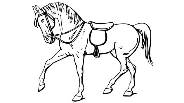 Dibujos de Caballos | Dibujos