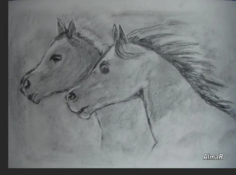 Dibujos de caballos a lapiz faciles de hacer - Imagui Dibujos de caballos a lapiz faciles de hacer - Imagui