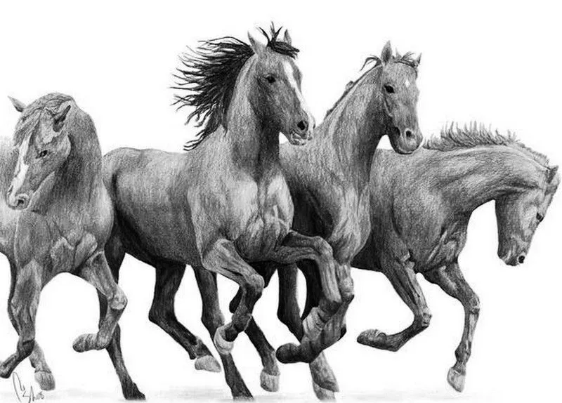 Dibujos de caballos a lapiz - Imagui