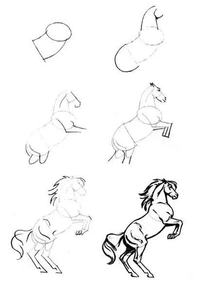 Dibujos de Caballos | El Mundo y el Caballo