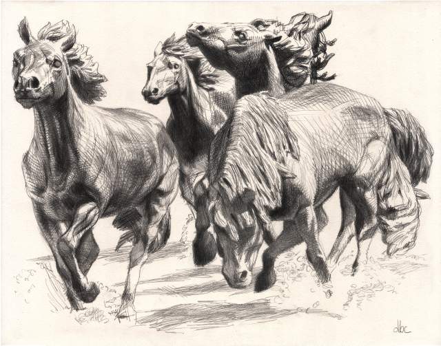 Dibujos de caballos. | Quiero más diseño