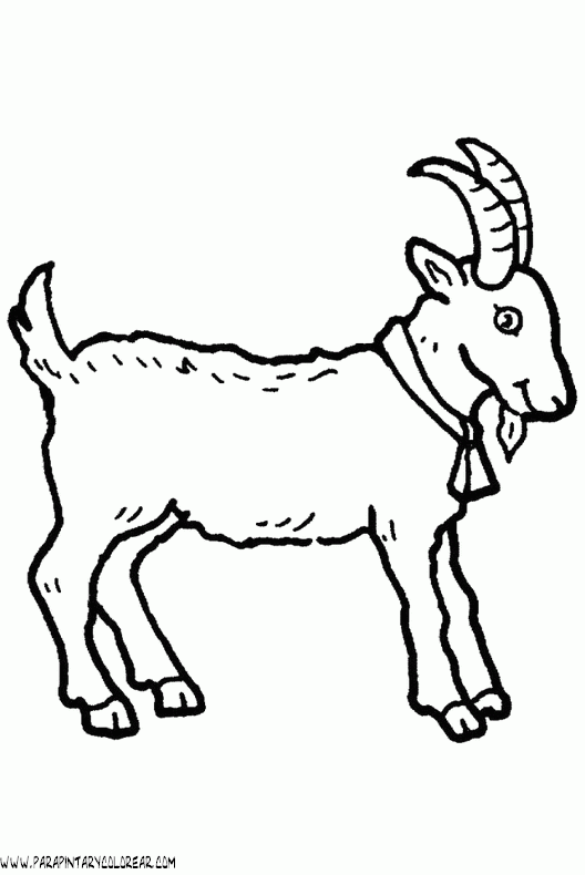 Dibujos cabra - Imagui