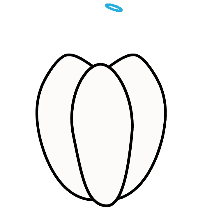 Dibujos de Calabaza - Cómo dibujar Calabaza paso a paso Dibujos de Calabaza - Cómo dibujar Calabaza paso a paso