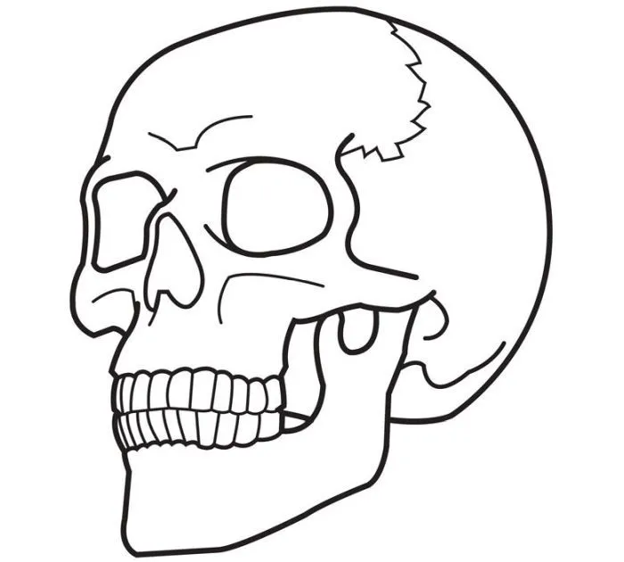 ▷ Dibujos de Calaveras para colorear - Colorear24.com ▷ Dibujos de Calaveras para colorear - Colorear24.com