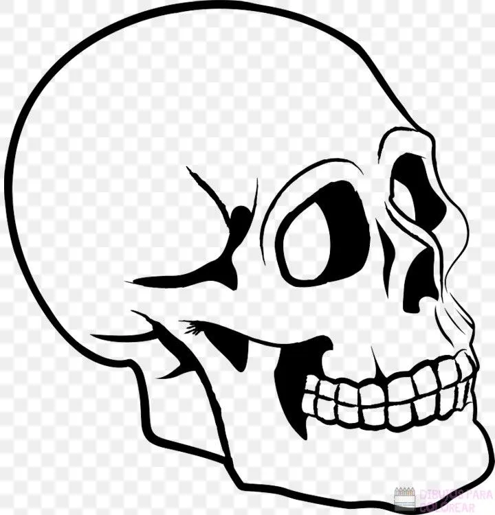 ᐈ Dibujos de Calaveras【+1000】Para decorar Hoy – Dibujos para Colorear ᐈ Dibujos de Calaveras【+1000】Para decorar Hoy – Dibujos para Colorear