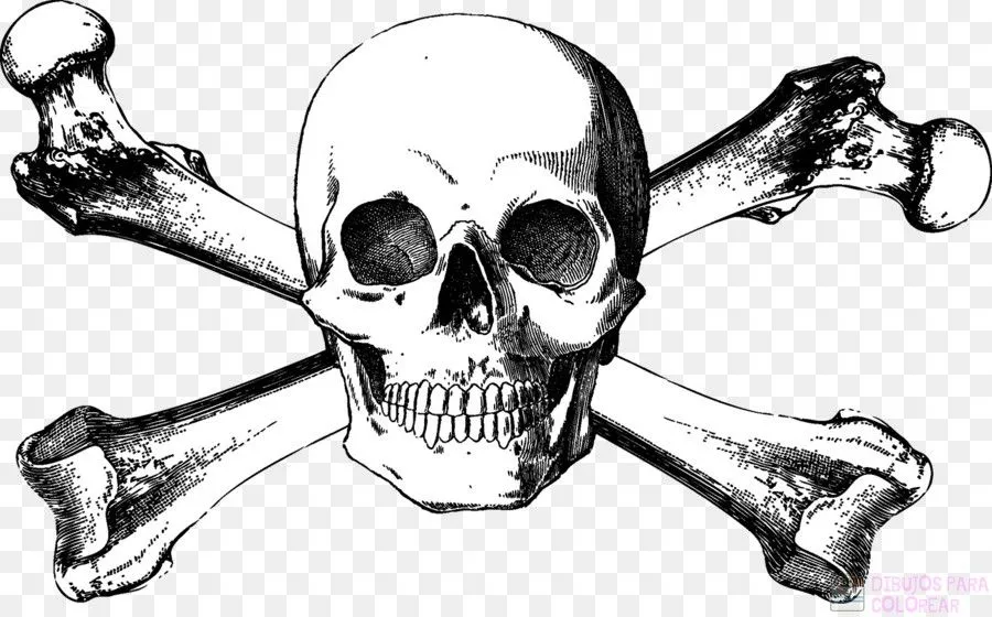 ᐈ Dibujos de Calaveras【+1000】Para decorar Hoy – Dibujos para Colorear ᐈ Dibujos de Calaveras【+1000】Para decorar Hoy – Dibujos para Colorear