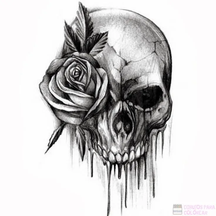 ᐈ Dibujos de Calaveras【+1000】Para decorar Hoy – Dibujos para Colorear ᐈ Dibujos de Calaveras【+1000】Para decorar Hoy – Dibujos para Colorear