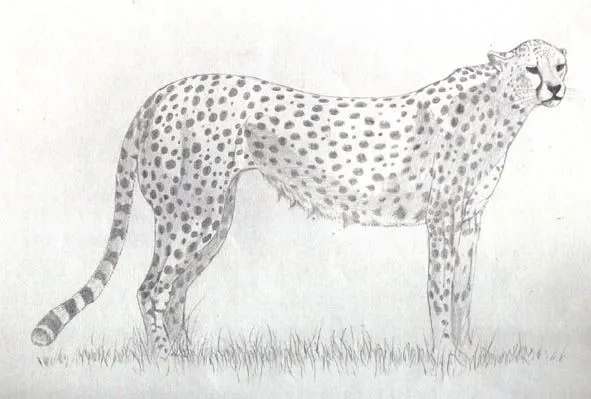 Dibujos de Cams: septiembre 2012