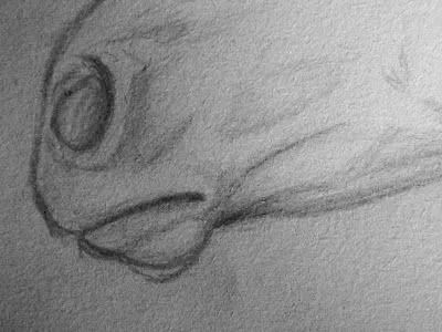 Mis dibujos: cara de caballo y vestido