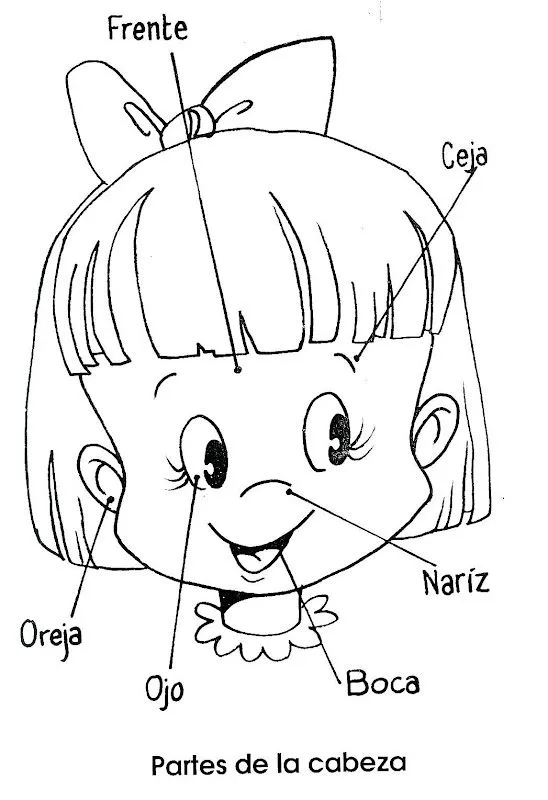 Partes+de+la+cara+para+colorear - Imagui
