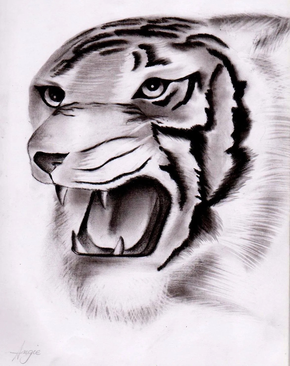 Dibujos a carboncillo: Animales a carboncillo Dibujos a carboncillo: Animales a carboncillo