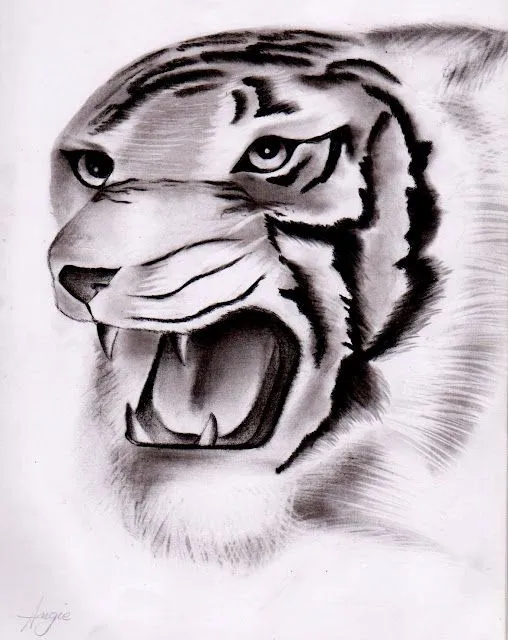 Dibujos a carboncillo: Animales a carboncillo Dibujos a carboncillo: Animales a carboncillo