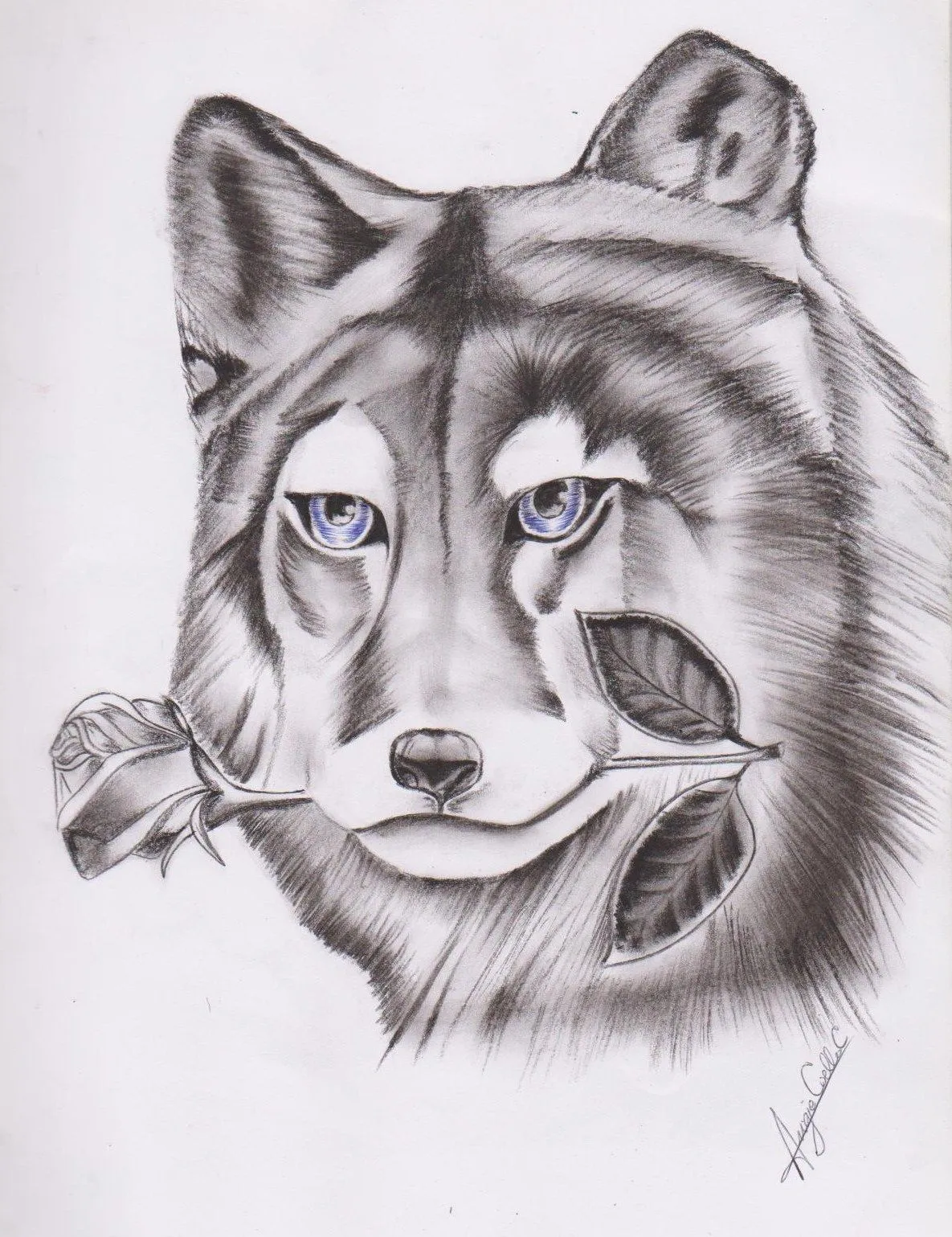 Dibujos a carboncillo